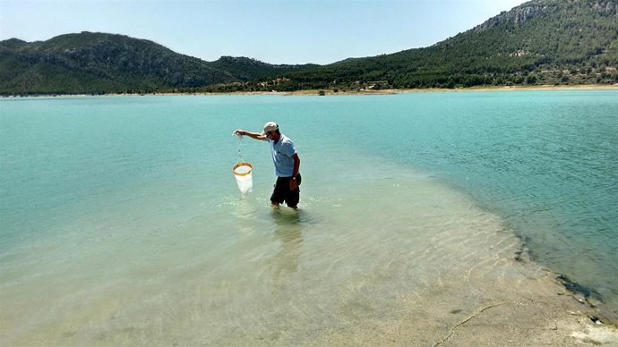 Confederacion Hidrografica Del Ebro Arranca La Campaña De Control Larvario De Mejillón Cebra