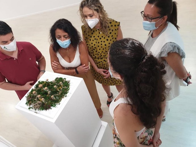 La presidenta del Parlamento de Andalucía, Marta Bosquet, acude a la inauguración de una exposición