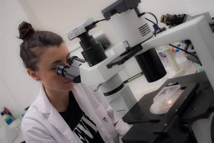 Match COVID19 une a investigadores de toda la Comunitat  para "hacer frente a los desafíos" de la pandemia