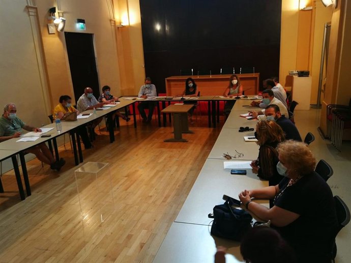 Consejo Local de Medio Ambiente