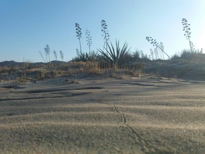 Paisaje del parque natural de Cabo de Gata