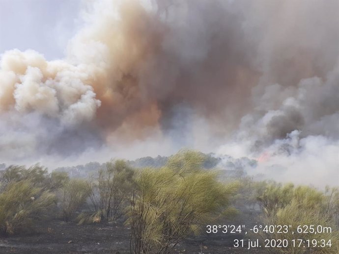 Incendio en Cumbres Mayores (Huelva)