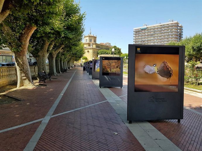 Exposición Fotográfica  en Santo Domingo