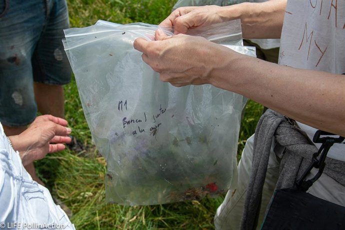 El proyecto del CITA busca convertir cultivos herbáceos y áreas marginales en hábitats para la polinización.