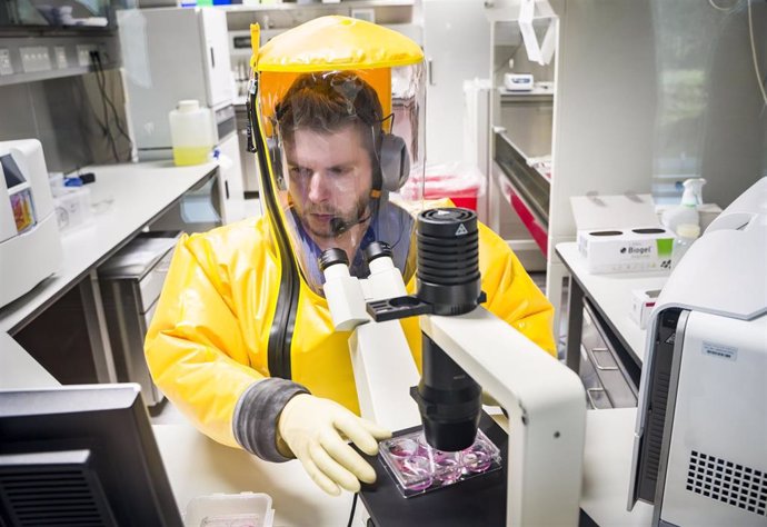 Investigación en virología en la Universidad de Marbugo, Alemania