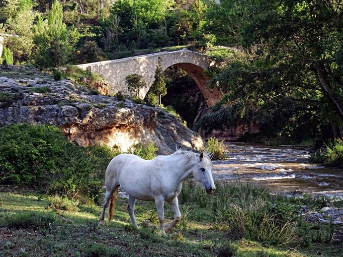 Ruta del Puente Fonseca, una de las propuestas de la Asociación Turística de Gúdar-Javalambre.