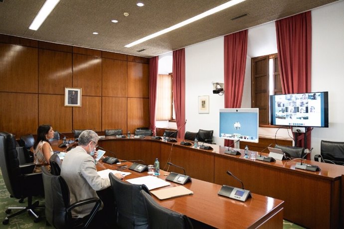 La Diputación Permanente en su sesión telemática de hoy, día 3 de agosto, para acordar la autorización de la celebración de sesiones extraordinarias de la Comisión de estudio de recuperación de Andalucía por Covid-19