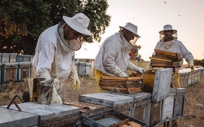 UPA-UCE Extremadura alerta de los bajos precios y los efectos del cambio climático en la apicultura 