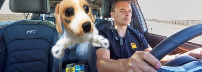Prueba en pista con un muñeco de perro que pretende escenificar situaciones de riesgo para los ocupantes y los animales en un vehículo