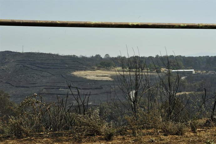 Zona quemada por el incendio de Cualedro (Ourense).