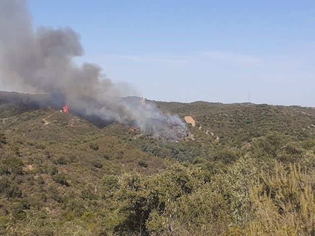 Incendio forestal declarado en Aznalcóllar (Sevilla)