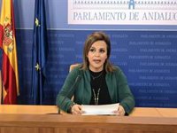 Adelante reclama a la Junta un "ambicioso plan" para prevenir rebrotes de coronavirus en residencias de mayores