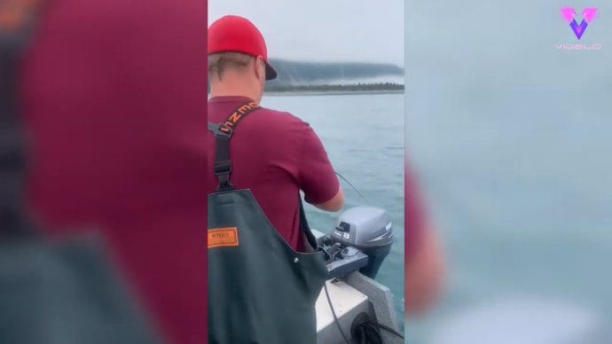Un grupo de pescadores se llevan una sorpresa al recoger un tiburón salmón del anzuelo