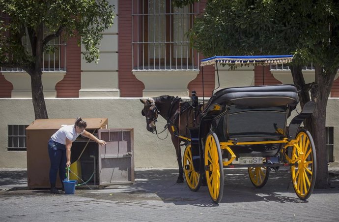 Una cochera llena un cubo de agua para su caballo durante la ola de calor africano que ha llegado este jueves a España. En Sevilla (Andalucía, España), a 30 de julio de 2020.