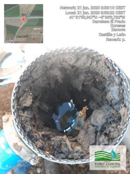 El briozoo se ha convertido en un peligro para las infraestructuras de riego que amenaza las cosechas.