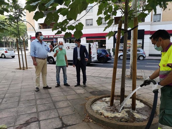 El delegado de Medio Ambiente, David Guevera, observa labores de riego en macetones de la ciudad