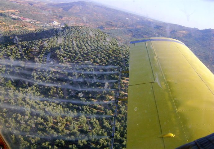 Tratamiento aéreo contra la mosca del olivo, en una imagen de archivo.