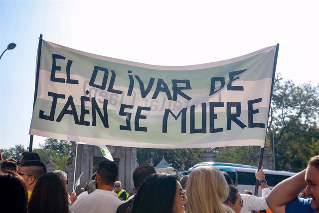 Imagen de archivo de la manifestación por un precio justo para el aceite de oliva celebrada el octubre de 2019 en Madrid.
