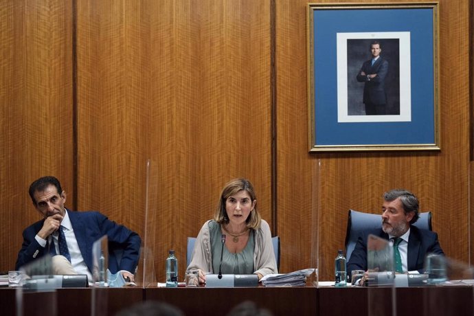 La consejera de Empleo, Rocío Blanco, este jueves durante su comparencia en el Parlamento.