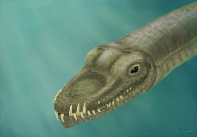 Ilustración de 'Tanystropheus' que, con unas fosas nasales ubicadas en la parte superior del hocico y dientes curvos, estaba perfectamente adaptado para atrapar presas resbaladizas en el agua