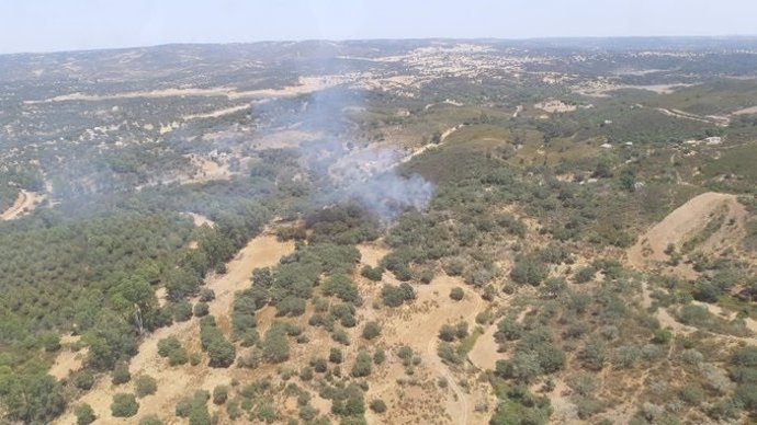 Incendio forestal en El Ronquillo (Sevilla)