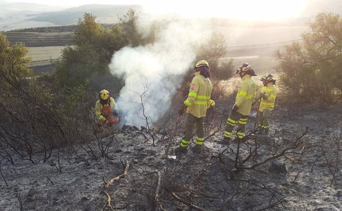 Bomberos en el incendio forestal producido en Olvera