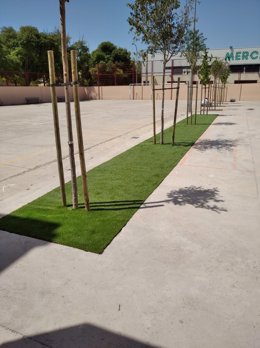 Plantación de árboles en el patio del Colegio Público del Rafal Nou de Palma.