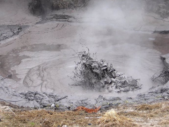 'Sulfolobus Acidocaldarius' Prospera En Piscinas De Lodo Geotérmico Como Esta En Nueva Zelanda