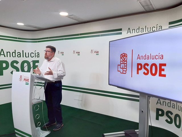 Rodrigo Sánchez de Haro (PSOE-A), en rueda de prensa