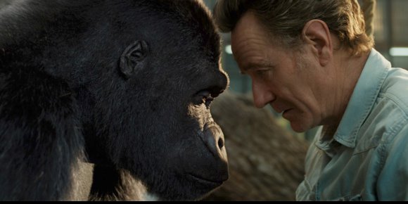 2. Tráiler de El magnífico Iván: El entrañable gorila pintor llega a Disney+ el 11 de septiembre