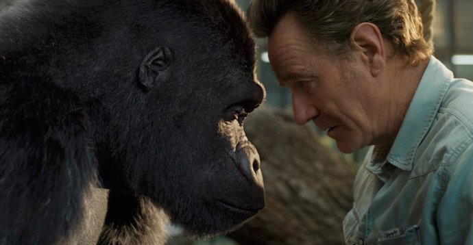 Tráiler de El magnífico Iván: El entrañable gorila pintor llega a Disney+ el 11 de septiembre