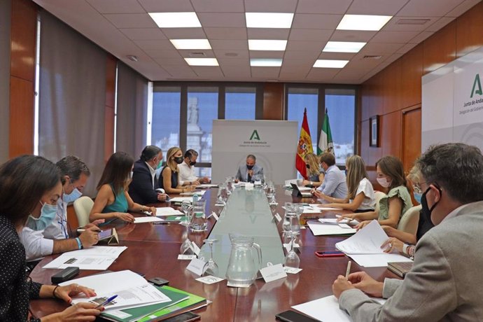 El consejero de la Presidencia, Administración Pública e Interior y portavoz del Gobierno andaluz, Elías Bendodo, reunido con los delegados