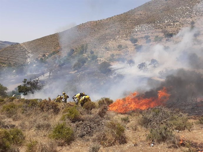Incendio forestal en el entorno del camping Las Lomas