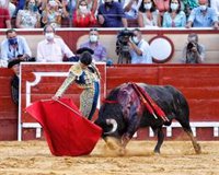 La empresa organizadora de la corrida de toros de El Puerto (Cádiz) asegura que se cumplió toda la normativa