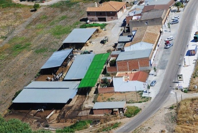 Vaquería de Fuente Palmera, en una imagen de archivo.