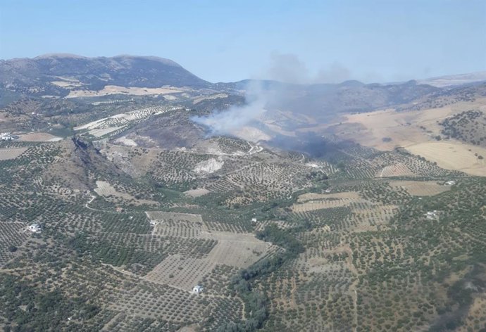 Incendio forestal en Pruna (Sevilla).