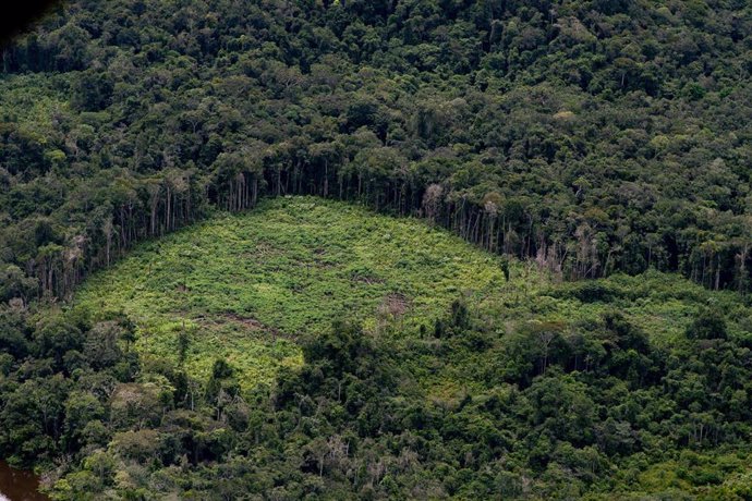 Vista aérea de la Amazonia brasileña