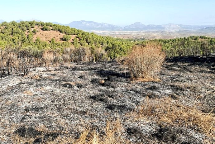 Declarado un incendio forestal con tres focos activos en el monte La Cordillera, en Lorca