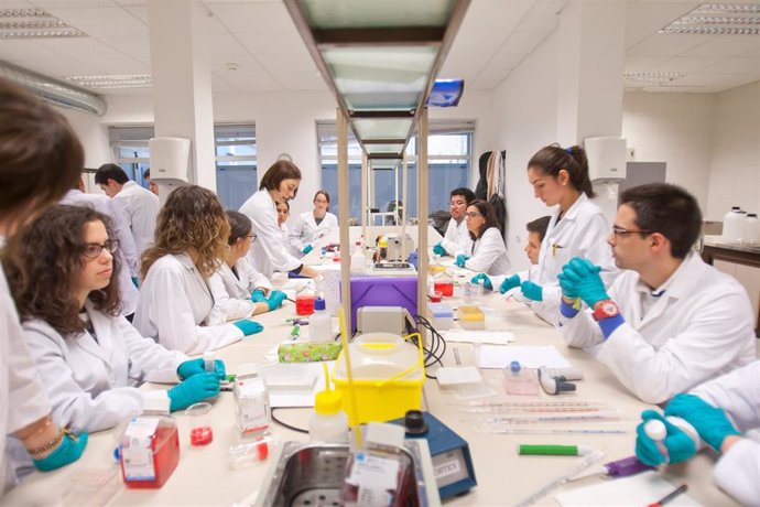 Laboratorio del grado en Química de la Universidad de Navarra