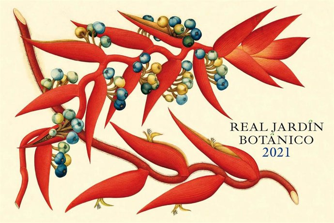 Heliconia stiletioides (Abalo&amp;Morales) Musaceae, portada del almanaque de 2021 del Real Jardín Botánico del Consejo Superior de Investigaciones Científicas (RJB-CSIC) que refleja la Real Expedición del Nuevo Reino de Granada.