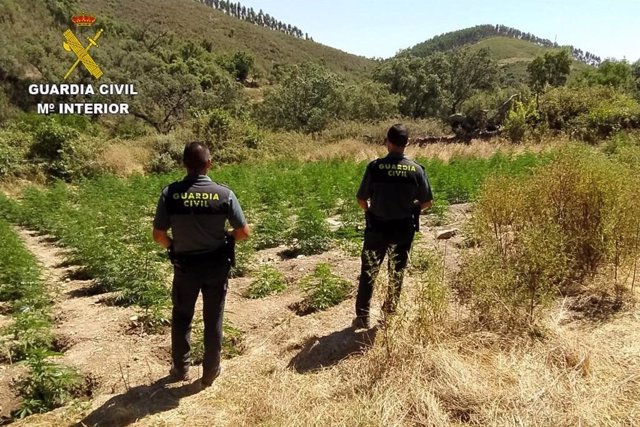 Agentes de la Guardia Civil, en Almonaster la Real (Huelva).