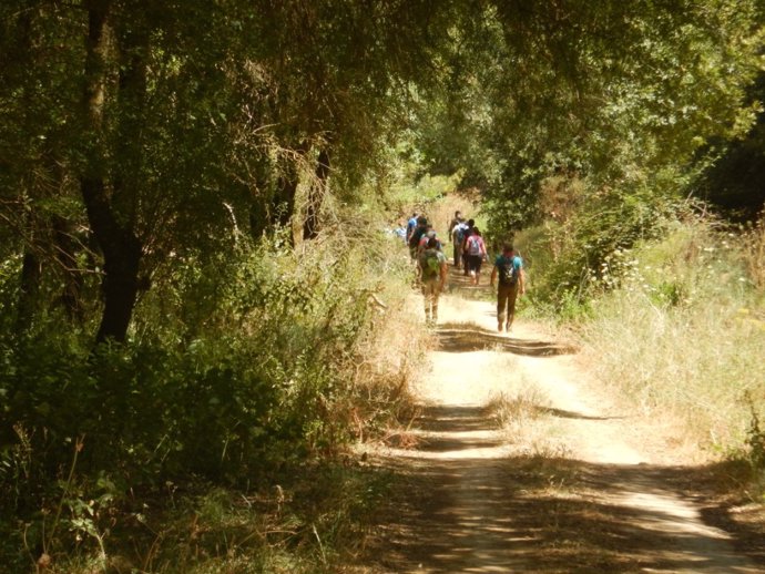 Jornada de 'trekking' realizada en el Sendero Estaciones del Huéznar, en la provincia de Sevilla.