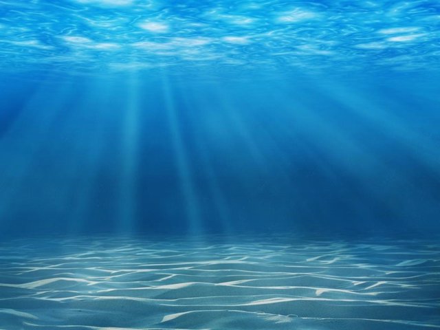 Las actividades humanas están disolviendo el registro geológico en el fondo del océano, debido a los crecientes niveles de CO2 y la acidificación del agua del mar, advierte un nueva investigación