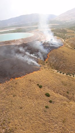 Incendio forestal declarado en Jódar.