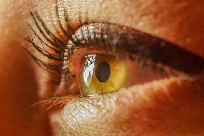 Una foto de los ojos proporciona un pronóstico de longevidad en pacientes con in