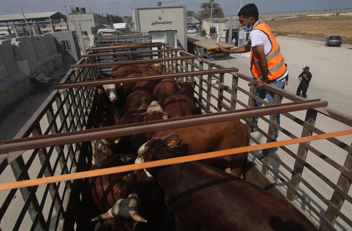 Encreuament de bestiar en el pas de Kerem Shalom