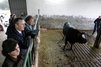 Cantabria pide un reparto "más eficiente", "justo" y dirigido al productor "genuino" en la nueva PAC