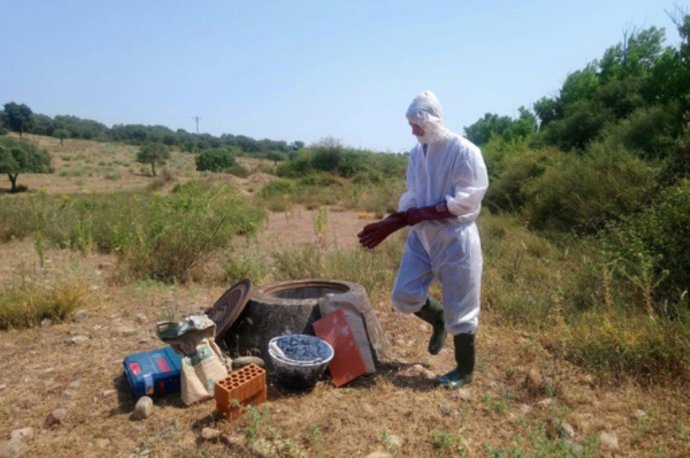 Nota Plan Depura Cáceres Másmedio