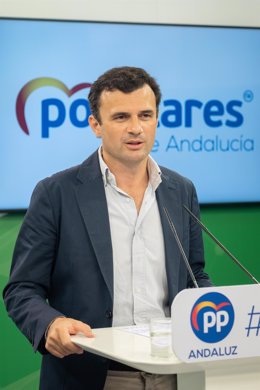 El vicesecretario de Política Municipal del PP-A, Bruno García, en rueda de prensa.