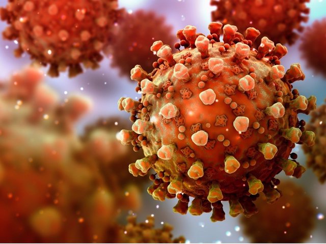 Coronavirus.- Investigadores exponen una nueva vulnerabilidad del virus del COVI